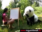 Panda dugs